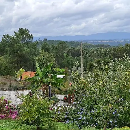 Piscine Balneotherapie Et Jacuzzi Entierement Privee * Barras (Coimbra)