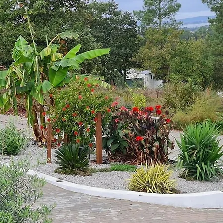 Piscine Balneotherapie Et Jacuzzi Entierement Privee *