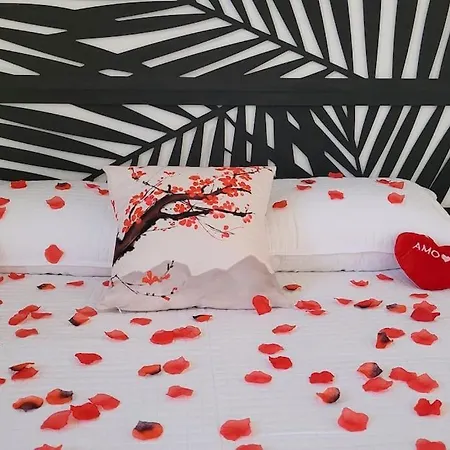 Tatil Evi Piscine Balneotherapie Et Jacuzzi Entierement Privee