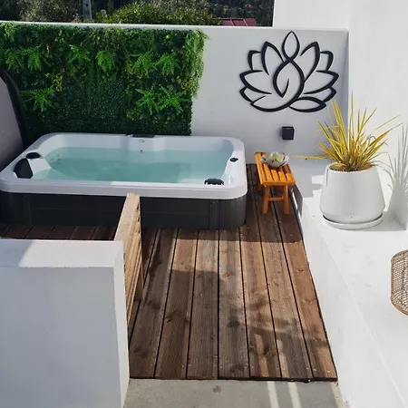 Piscine Balnéothérapie Et Jacuzzi Entièrement Privée