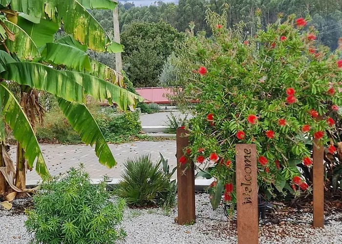 Piscine Balnéothérapie Et Jacuzzi Entièrement Privée Barras (Coimbra)